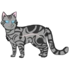 Коты воители от 26