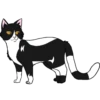 Коты воители от 27