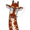 Girafe 21
