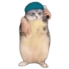 Mem happy,канал в ЮтYбе) 24