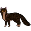 Коты воители от 29