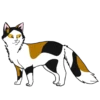 Коты воители от 30