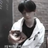 Hwang hyunjin ;;🌟 :: 8