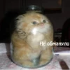Стики из 8