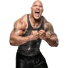 WWE Stickers 12