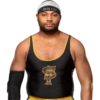 WWE Stickers 13