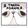 ЙогYрт 6