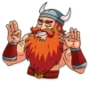 Viking 13