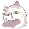 ЙогYрт 12
