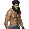 WWE Stickers 17