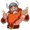 Viking 14