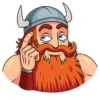 Viking 17
