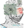 Schizopack 23