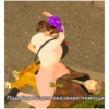 Black Russia Rofl 21