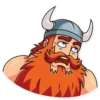 Viking 19