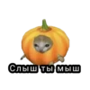 Стики из 26