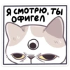 ЙогYрт 22