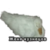 Стики из 29
