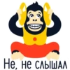 Yandex.Music 24