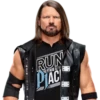 WWE Stickers 29