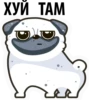 White Pug 2