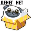 White Pug 3