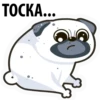White Pug 4