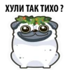 White Pug 6