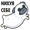 White Pug 9