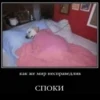 ВселеннаR котиков 9