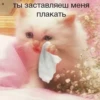 ВселеннаR котиков 12