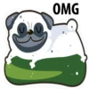 White Pug 12