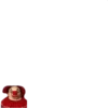 CHIQUITOS 15