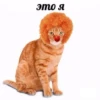 ВселеннаR котиков 16