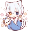 White Kitten (4) 7