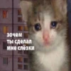 ВселеннаR котиков 17
