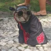 выпYкиваем котов 8