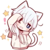 White Kitten (4) 13