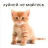 ВселеннаR котиков 23