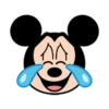 You know this mouse 13