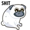 White Pug 16