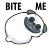 White Pug 18