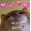 спи сладко цмокаю