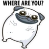 White Pug 19