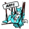 Zerda pup 20