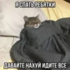 ВселеннаR котиков 27