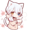 White Kitten (4) 22