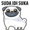 White Pug 25