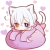 White Kitten (4) 24