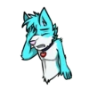 Zerda pup 21